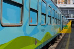 Treno Verde 2013 DSC_0634 (2)