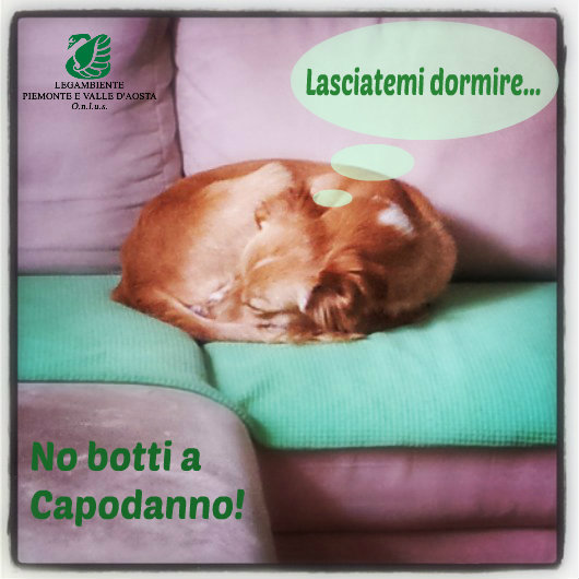 Legambiente fa appello a istituzioni e cittadini per un Capodanno senza botti: “Un Capodanno nel rispetto degli animali è possibile. Le alternative ai botti ci sono” Legambiente fa appello a istituzioni e cittadini per un Capodanno senza botti: “Un Capodanno nel rispetto degli animali è possibile. Le alternative ai botti ci sono”