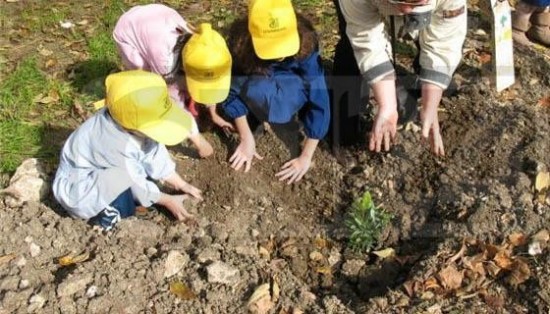 Torna la Festa dell’Albero: la campagna di Legambiente dedicata al verde urbano Torna la Festa dell’Albero: la campagna di Legambiente dedicata al verde urbano