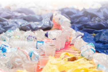 Un mandala contro l’abbandono di rifiuti WasteMandala
