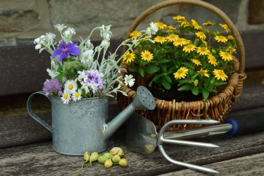 L’autunno in vaso – Corso di giardinaggio…senza giardino! corso giardinaggio sul balcone