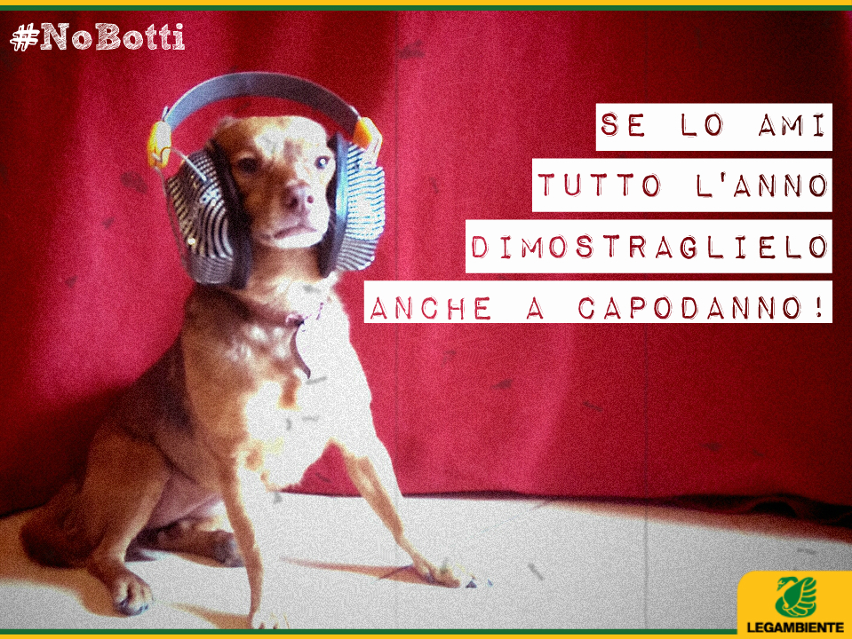 No ai botti di Capodanno, Legambiente: “Tutti facciano la propria parte. Le ordinanze siano fatte rispettare” No ai botti di Capodanno, Legambiente: “Tutti facciano la propria parte. Le ordinanze siano fatte rispettare”