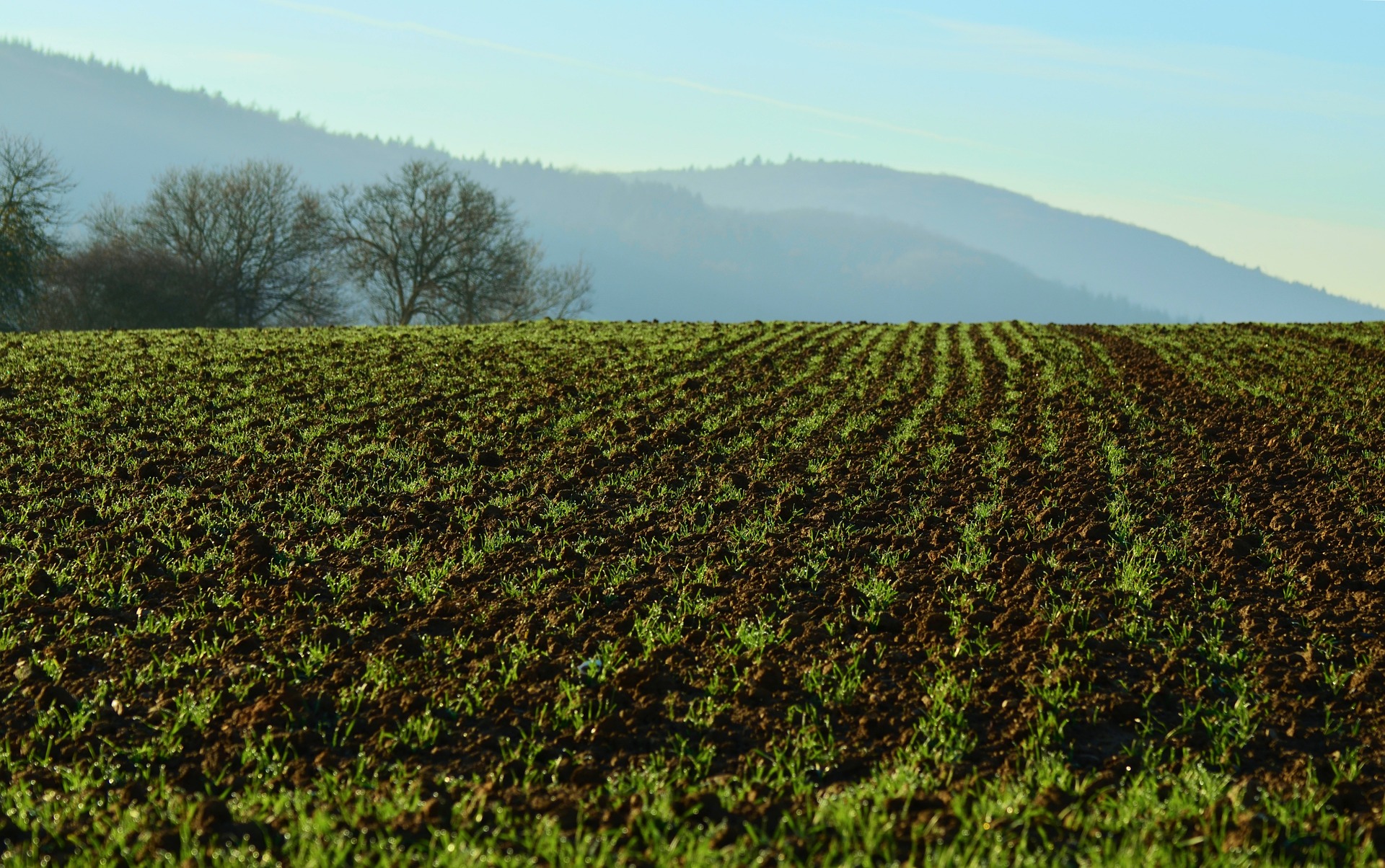 Piemonte, approvato il piano paesaggistico. Legambiente: “Ottima notizia, ora i Comuni lo recepiscano rapidamente” Piemonte, approvato il piano paesaggistico. Legambiente: “Ottima notizia, ora i Comuni lo recepiscano rapidamente”