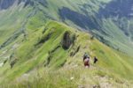 Carovana delle Alpi 2016 aelpelesattel-841355_960_720