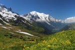 Bandiere Verdi 2019: territori montani protagonisti nella lotta ai cambiamenti climatici MonteBianco_montagna_neve