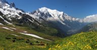 Bandiere Verdi 2019: territori montani protagonisti nella lotta ai cambiamenti climatici MonteBianco_montagna_neve