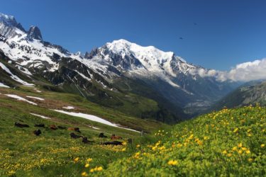 Bandiere Verdi 2019: territori montani protagonisti nella lotta ai cambiamenti climatici MonteBianco_montagna_neve