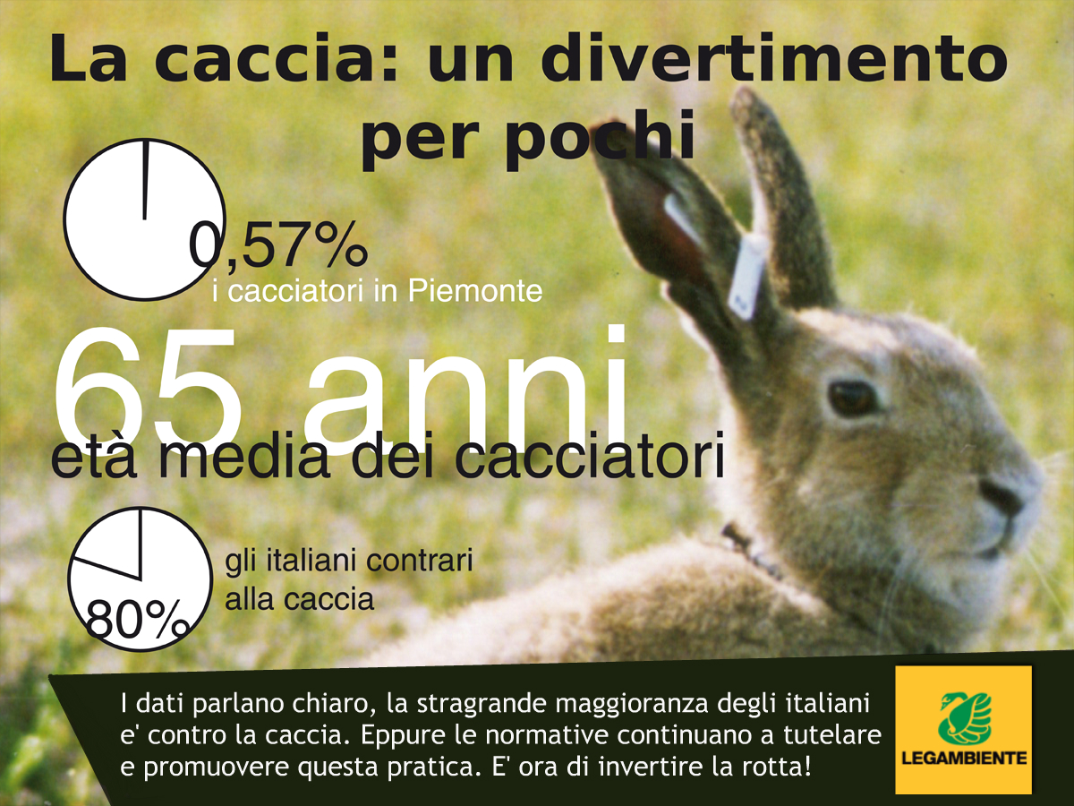 Caccia, in Piemonte record di specie cacciabili. Legambiente: “La Regione intervenga” Caccia, in Piemonte record di specie cacciabili. Legambiente: “La Regione intervenga”