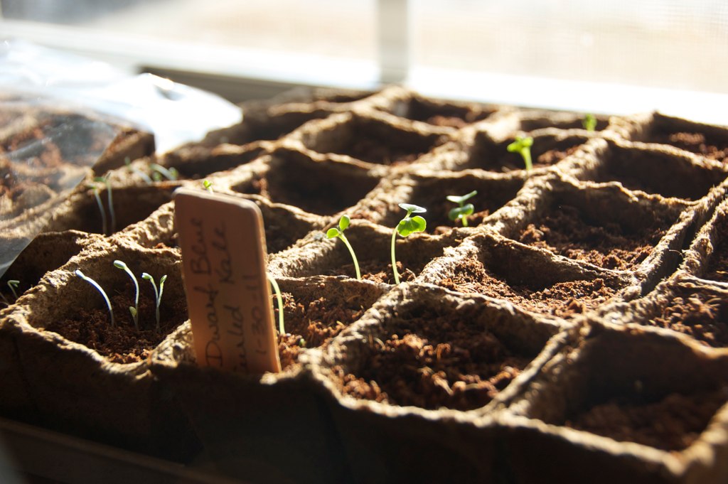 Prepariamoci alla primavera! Corso di orticoltura biologica Prepariamoci alla primavera! Corso di orticoltura biologica
