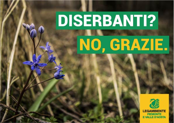 Appello ai Sindaci: “Basta diserbanti tossici, le alternative ci sono” Appello ai Sindaci: “Basta diserbanti tossici, le alternative ci sono”