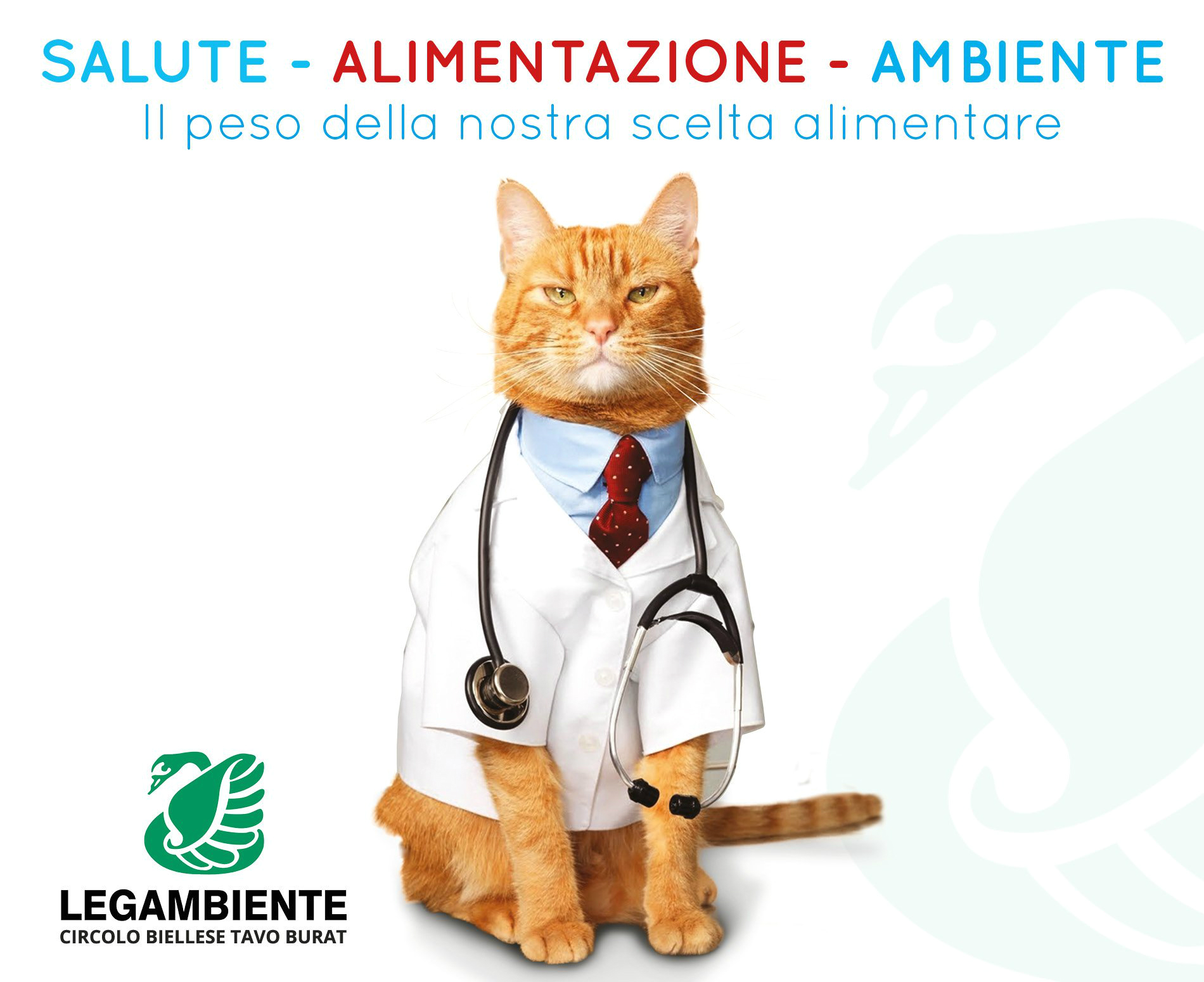 Salute, alimentazione, ambiente. Incontro a Biella venerdì 26 maggio Salute, alimentazione, ambiente. Incontro a Biella venerdì 26 maggio