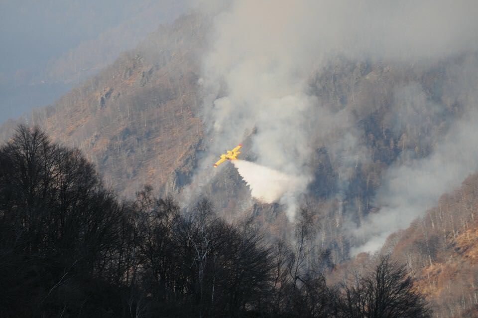 Condanna esemplare al piromane della Valsessera. Plauso di Legambiente: “Indagini meticolose” Condanna esemplare al piromane della Valsessera. Plauso di Legambiente: “Indagini meticolose”