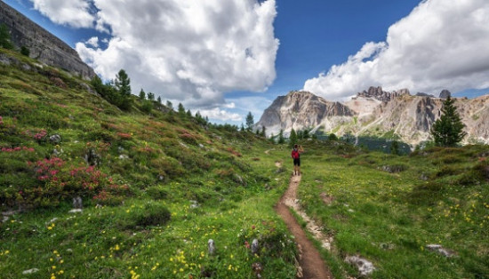 Legambiente assegna le bandiere verdi e nere della Carovana delle Alpi 2018 Legambiente assegna le bandiere verdi e nere della Carovana delle Alpi 2018
