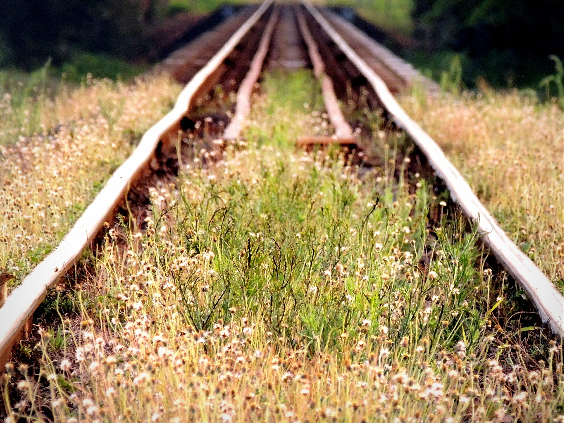 Pendolaria 2018, Legambiente: “Altro che Tav, ecco le priorità per i pendolari” Pendolaria 2018, Legambiente: “Altro che Tav, ecco le priorità per i pendolari”