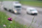 Finalmente approvato il Piano Aria. Ora i Sindaci mettano in campo politiche ambiziose per liberare le città dalle auto traffico