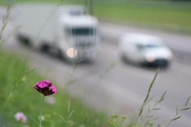 Finalmente approvato il Piano Aria. Ora i Sindaci mettano in campo politiche ambiziose per liberare le città dalle auto traffico