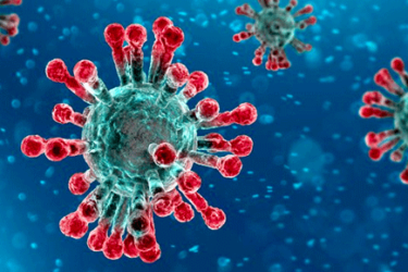 Per il virus non si smantellino le norme ambientali coronavirus