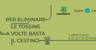 Covid19 non ci ferma: Puliamo il Mondo 2020! PIM2020