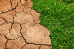 Emergenza clima. Il Bilancio del 2021 dell’Osservatorio CittàClima global-warming